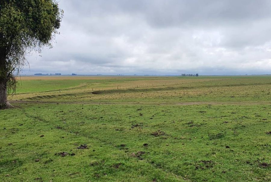 Farmland in Río Negro