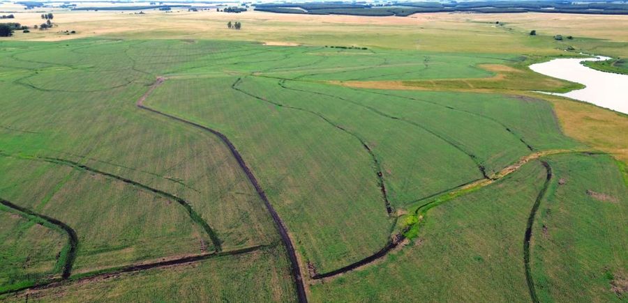 Farmland in Salazar