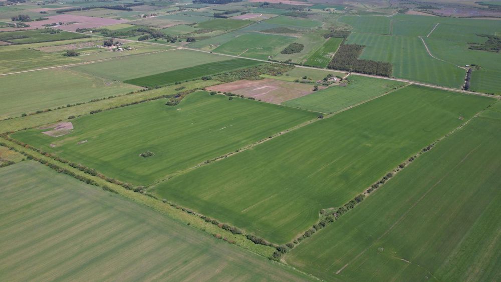 Farmland in Tacuarembó