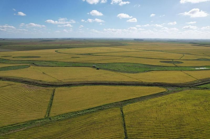 Aerial view of productive farmland in Uruguay