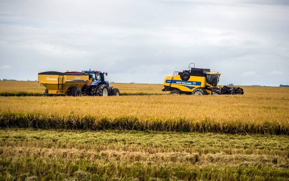 Agriculture